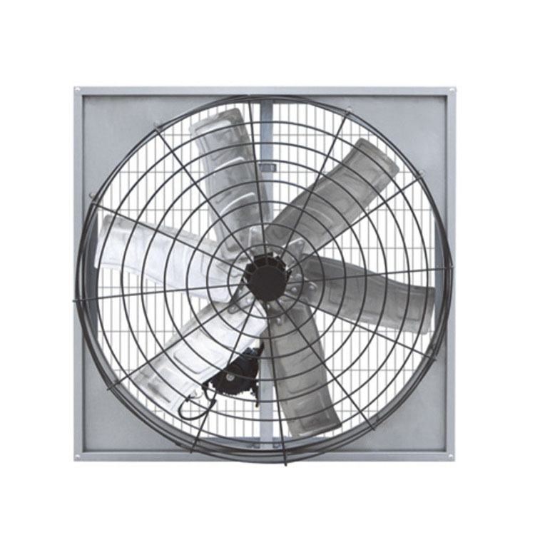 Hoe kiest u voor een efficiënte riemkoeventilator voor vee- en industriële ventilatiebehoeften?